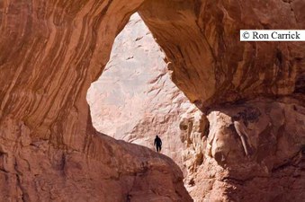 Enlarge photo 137
