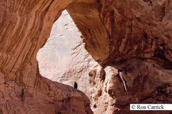 Enlarge photo 138