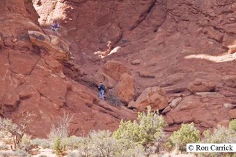 Enlarge photo 139