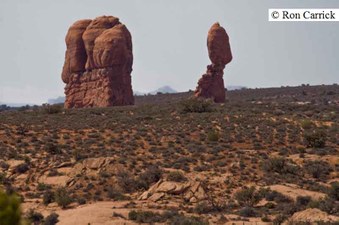 Enlarge photo 140