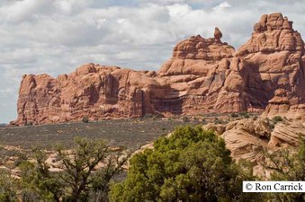 Enlarge photo 142