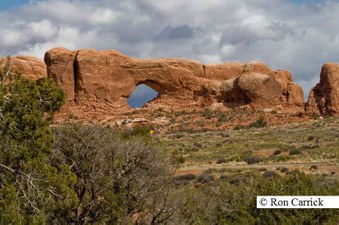 Enlarge photo 144