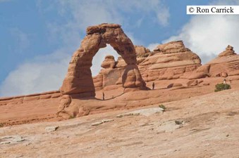Enlarge photo 154