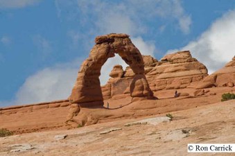 Enlarge photo 155