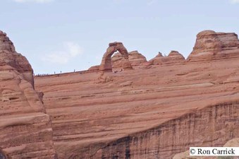 Enlarge photo 156