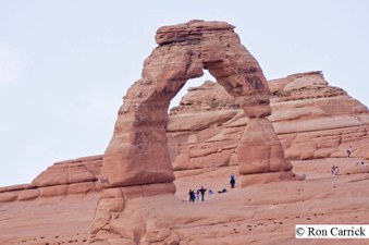 Enlarge photo 157