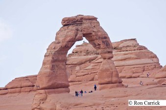 Enlarge photo 158