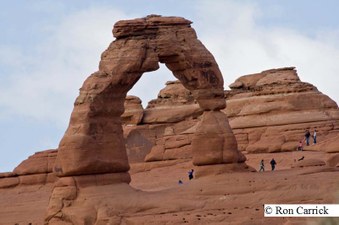 Enlarge photo 159