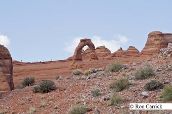 Enlarge photo 160