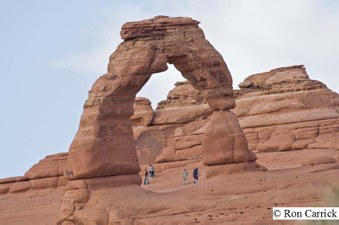 Enlarge photo 162