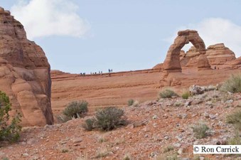 Enlarge photo 163