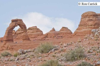 Enlarge photo 164