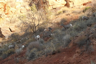 Enlarge photo 26