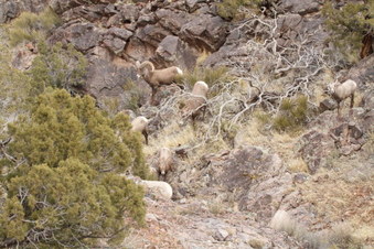 Enlarge photo 33