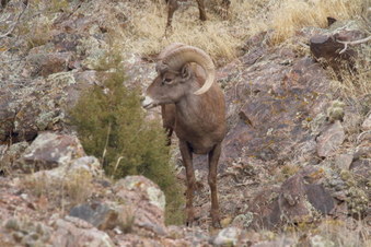 Enlarge photo 34