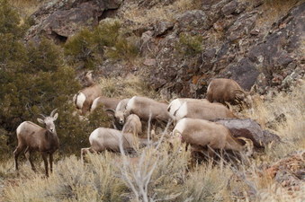 Enlarge photo 39
