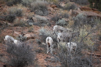 Enlarge photo 30