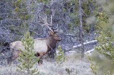 Enlarge photo 25