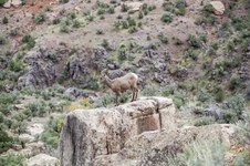 Enlarge photo 80
