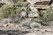 Enlarge photo 15