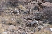 Enlarge photo 31