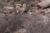 Enlarge photo 77