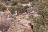 Enlarge photo 79