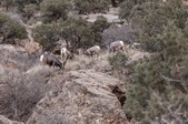 Enlarge photo 84