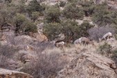 Enlarge photo 85