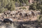 Enlarge photo 151