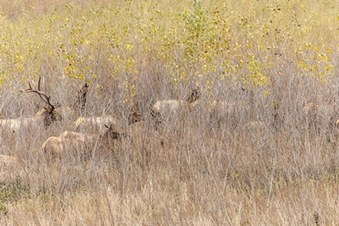 Enlarge photo 19