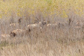 Enlarge photo 20