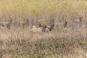 Enlarge photo 23
