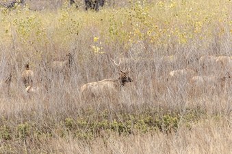 Enlarge photo 25