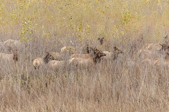 Enlarge photo 26