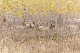 Enlarge photo 27
