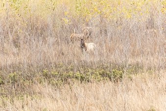 Enlarge photo 28