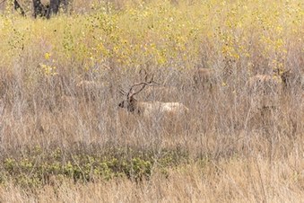 Enlarge photo 30
