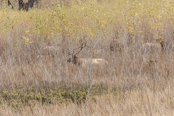Enlarge photo 31