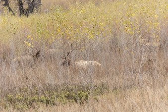 Enlarge photo 33