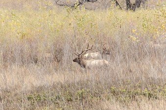 Enlarge photo 34