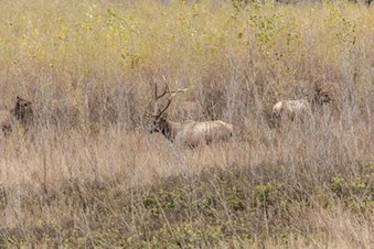 Enlarge photo 35