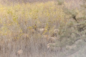 Enlarge photo 38