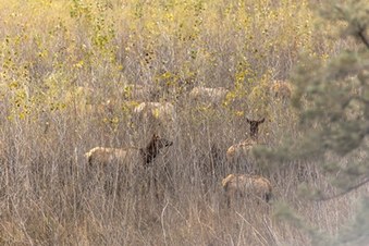 Enlarge photo 39