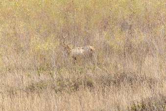 Enlarge photo 40