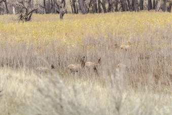 Enlarge photo 43