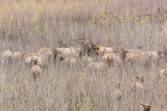 Enlarge photo 44