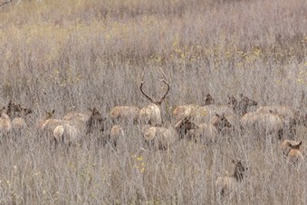 Enlarge photo 50