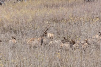 Enlarge photo 53
