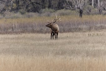 Enlarge photo 98